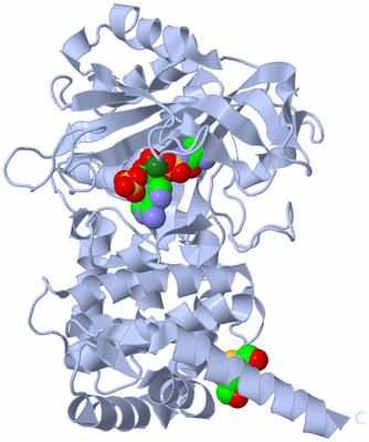 Image Biological Unit 1