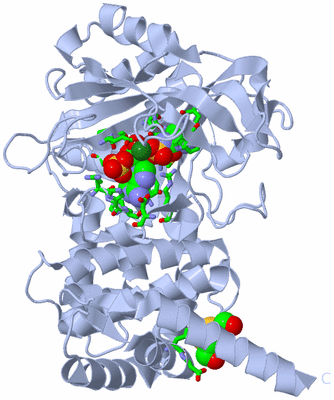 Image Biol. Unit 1 - sites