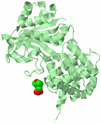 Image Biological Unit 2