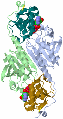 Image Asym./Biol. Unit