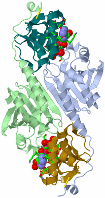 Image Asym./Biol. Unit - sites