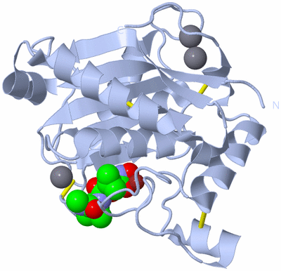 Image Biological Unit 1