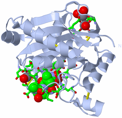 Image Biol. Unit 1 - sites