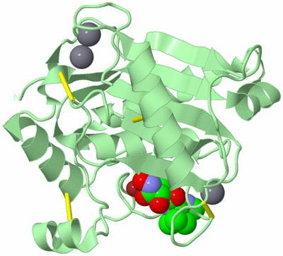 Image Biological Unit 2