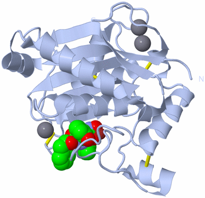 Image Biological Unit 1