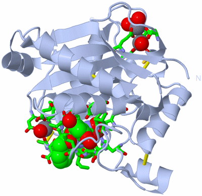 Image Biol. Unit 1 - sites