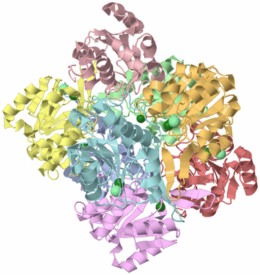 Image Biological Unit 3