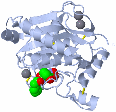 Image Biological Unit 1