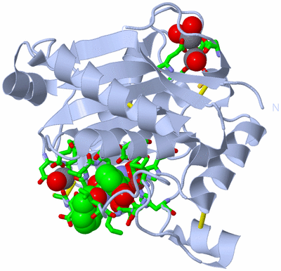 Image Biol. Unit 1 - sites