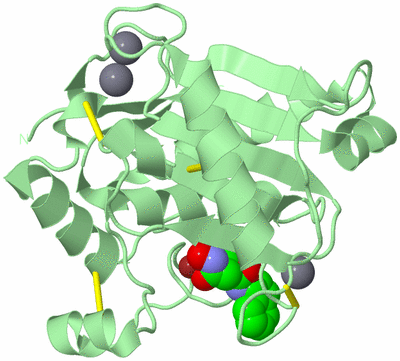 Image Biological Unit 2