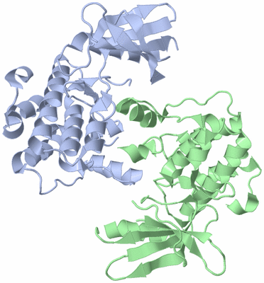 Image Biological Unit 3