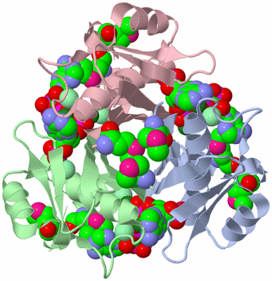 Image Asym./Biol. Unit