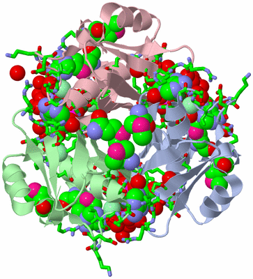 Image Asym./Biol. Unit - sites