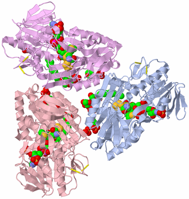 Image Biological Unit 1