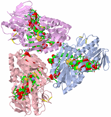 Image Biol. Unit 1 - sites