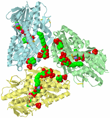 Image Biological Unit 2