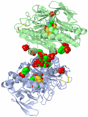 Image Biological Unit 3