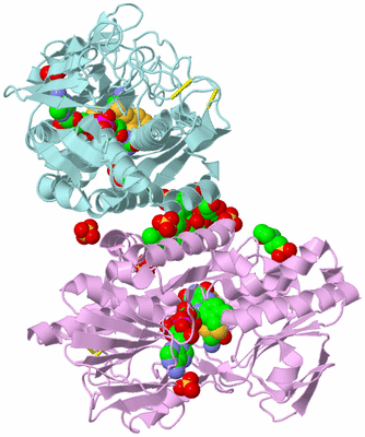 Image Biological Unit 4