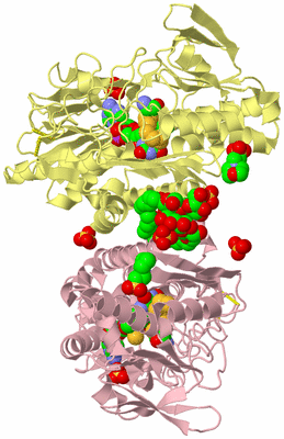 Image Biological Unit 5