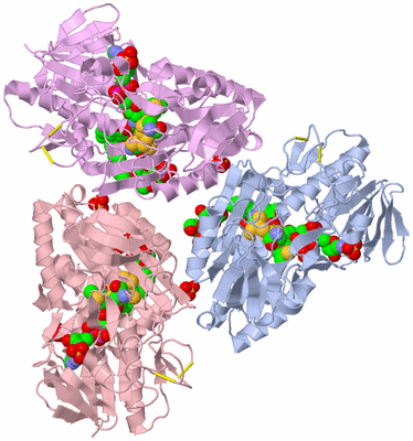 Image Biological Unit 1