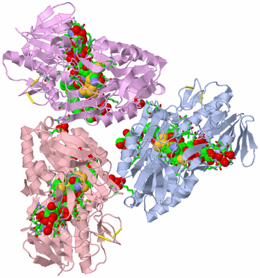 Image Biol. Unit 1 - sites