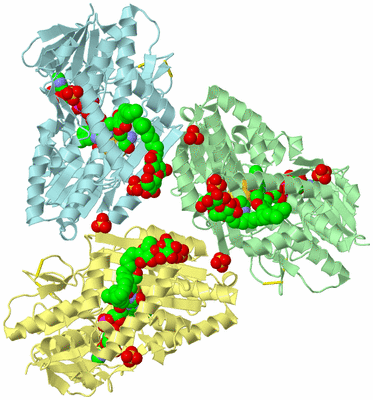 Image Biological Unit 2