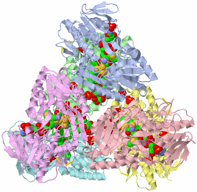 Image Biological Unit 3