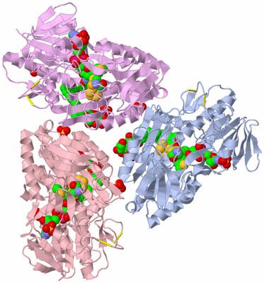 Image Biological Unit 1