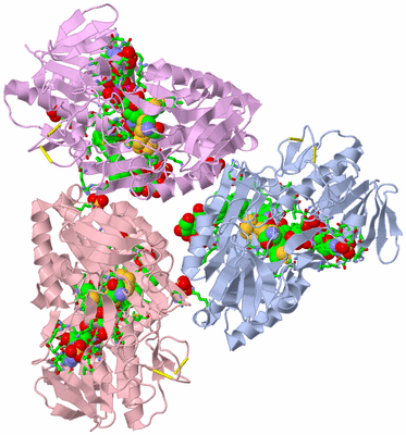 Image Biol. Unit 1 - sites