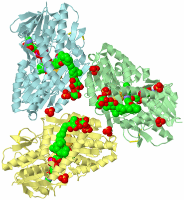 Image Biological Unit 2