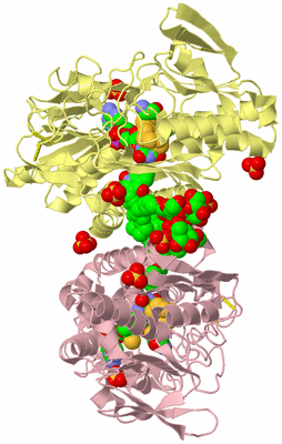 Image Biological Unit 3