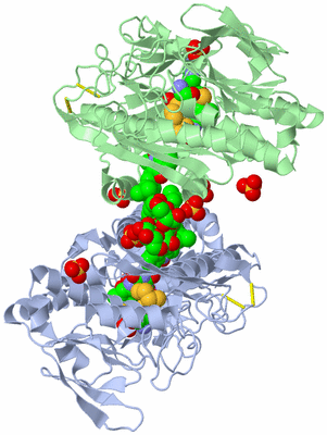 Image Biological Unit 4