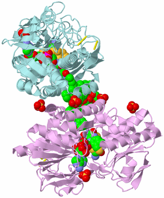 Image Biological Unit 5