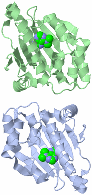 Image Asymmetric Unit