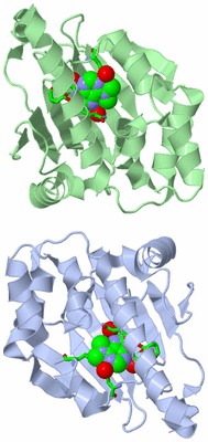 Image Asym. Unit - sites