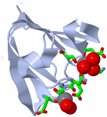 Image Biol. Unit 1 - sites