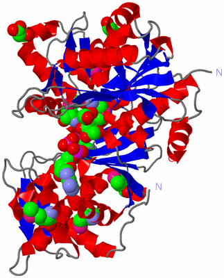 Image Asym./Biol. Unit