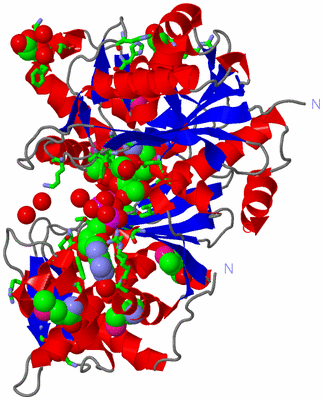 Image Asym./Biol. Unit - sites