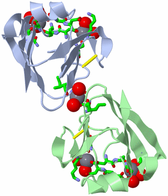 Image Biol. Unit 1 - sites