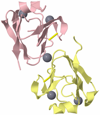 Image Biological Unit 2