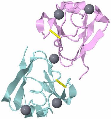 Image Biological Unit 3