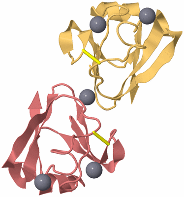 Image Biological Unit 4