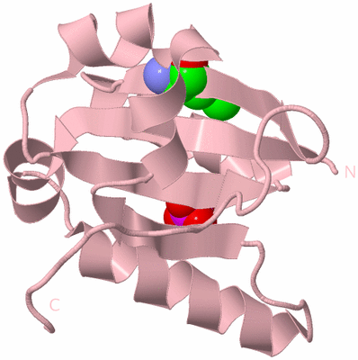 Image Biological Unit 3