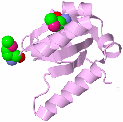 Image Biological Unit 5