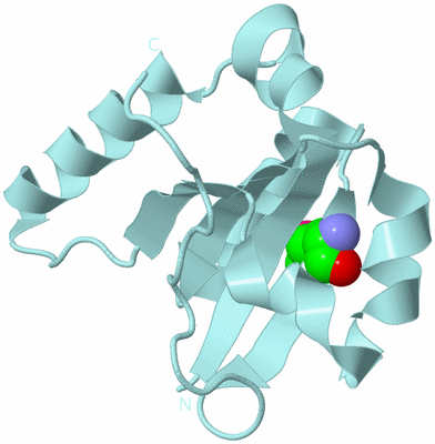 Image Biological Unit 6