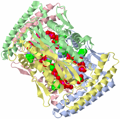 Image Biological Unit 1