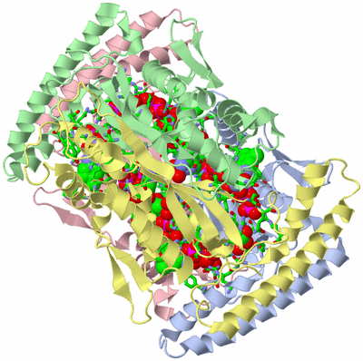 Image Biol. Unit 1 - sites