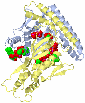 Image Biological Unit 2