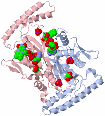 Image Biological Unit 3