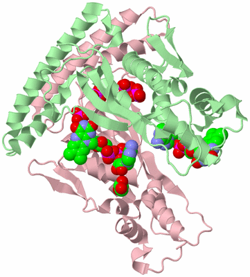 Image Biological Unit 4